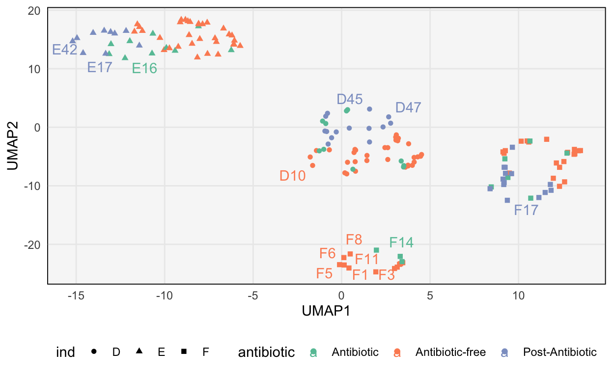 The UMAP representation associated with the antibiotics dataset.